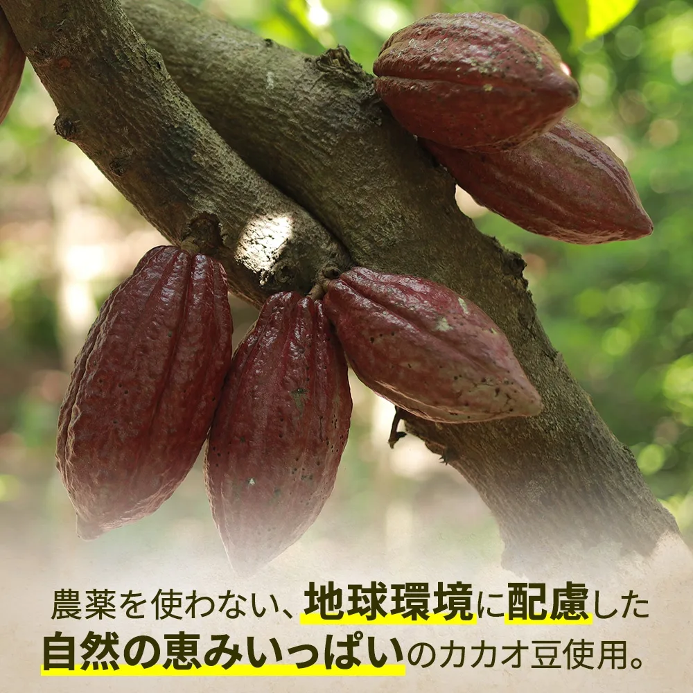 【オーガニック・有機JAS】カカオニブチョコボール70ｇ